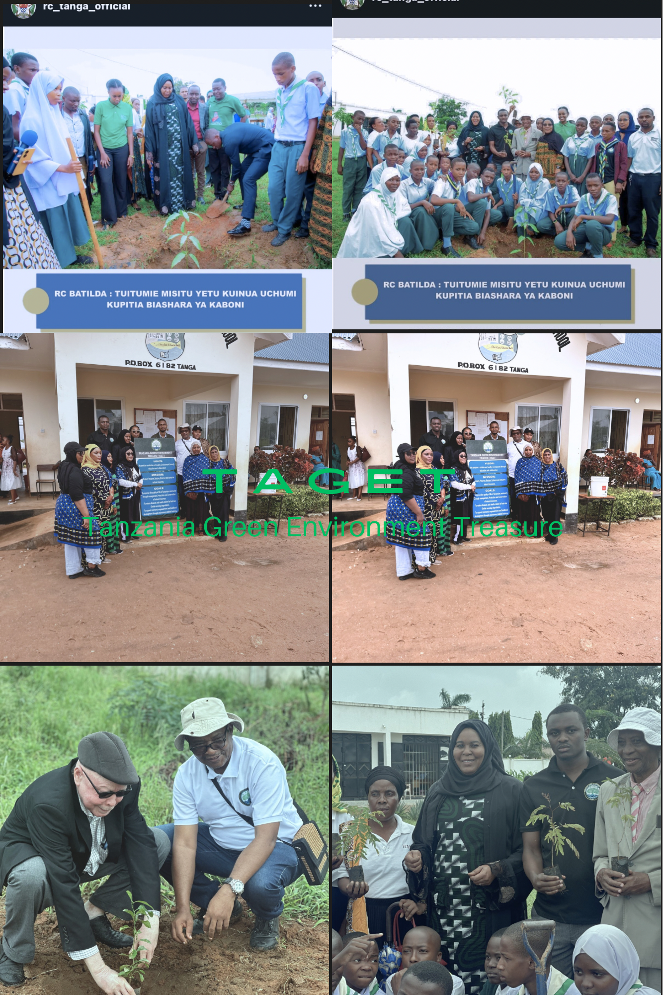 Tree Planting and Restoration